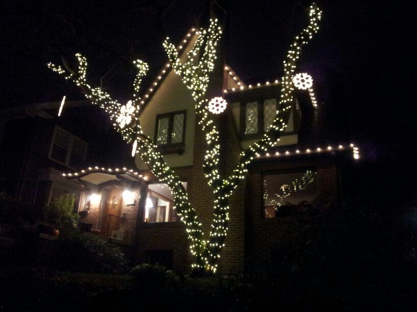 Light Pro The Christmas Light Pros